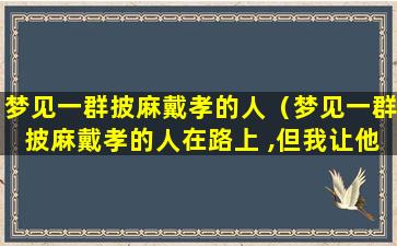 梦见一群披麻戴孝的人（梦见一群披麻戴孝的人在路上 ,但我让他们 ,还是跟着我）